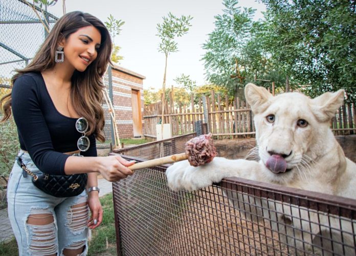 shama sikander